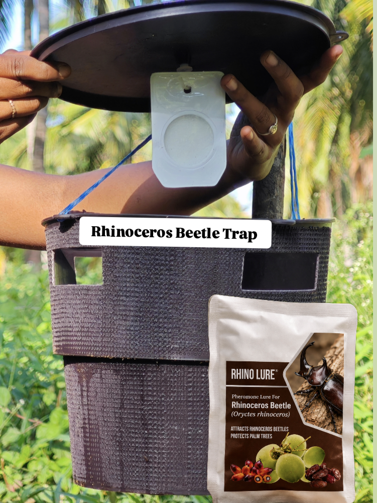 Rhinoceros Beetle Trap + Lure