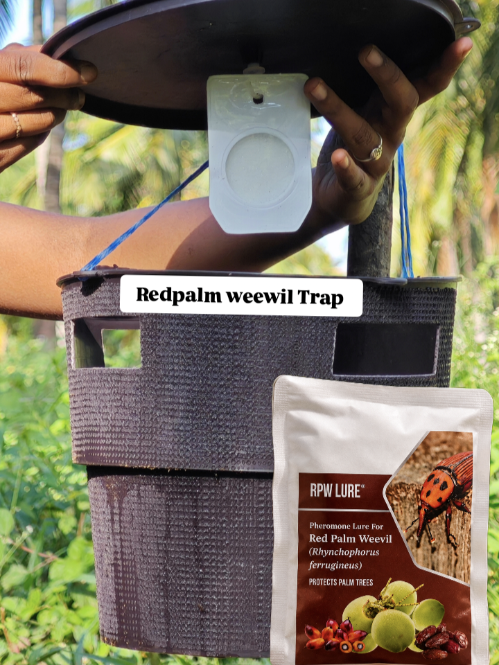 Red Palm Weevil Trap + Lure