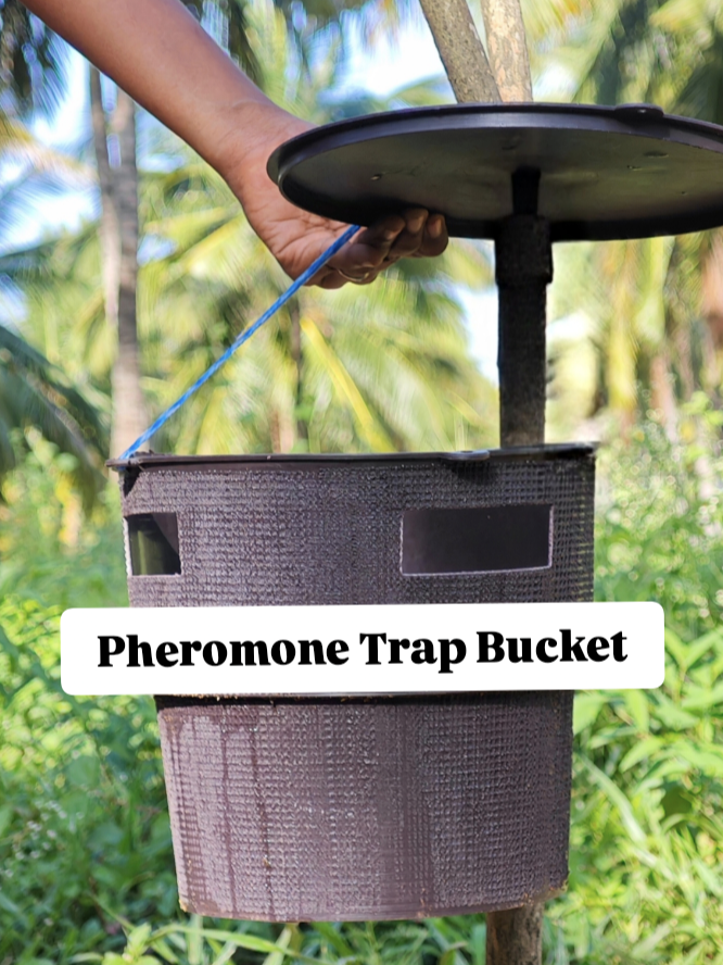 Pheromone Trap Bucket